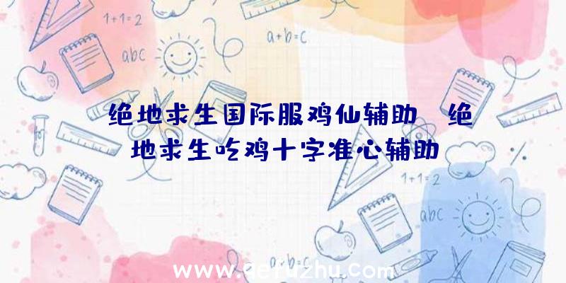 「绝地求生国际服鸡仙辅助」|绝地求生吃鸡十字准心辅助